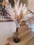 Alinterieur - ledtak - pluim -beige