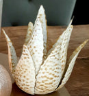 Alinterieur - Theelicht - Aloe Vera - Witgoud - Metaal