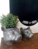 Alinterieur - Bloempot - Luipaardkop - Medium