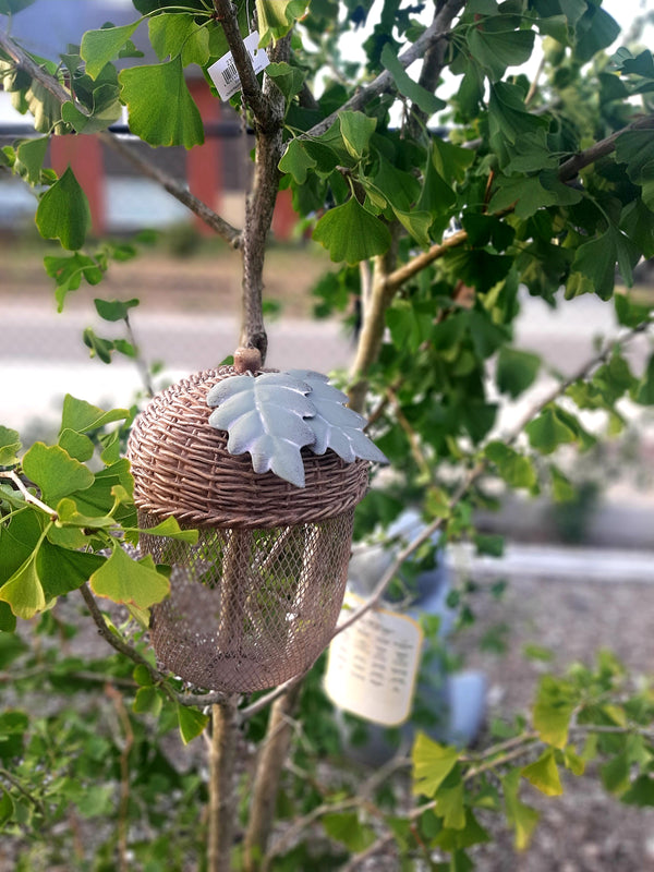 Alinterior - Bird food - Acorn - Hanging